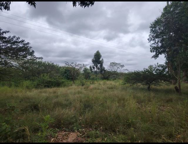 LAND FOR SALE IN CLIFFDALE